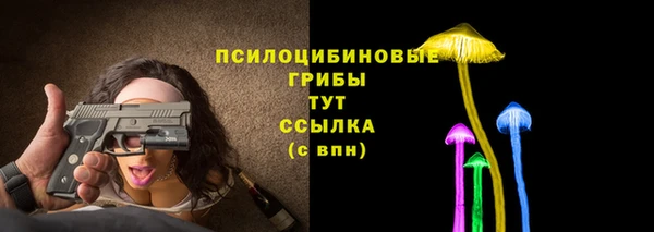 мяу мяу мука Горняк