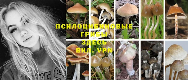 мяу мяу мука Горняк