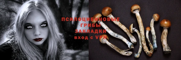 не бодяженный Горнозаводск