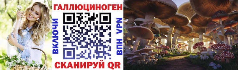 Псилоцибиновые грибы Psilocybe  Купить закладки  Канск 